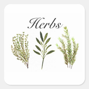 Sticker Carré Aquarelle Herbes Thyme Rosemary Sage Plante Pot