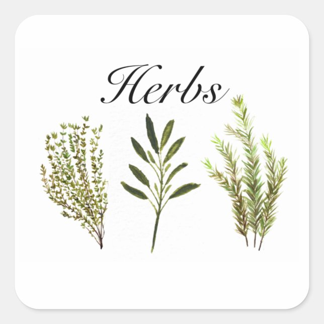 Sticker Carré Aquarelle Herbes Thyme Rosemary Sage Plante Pot (Devant)