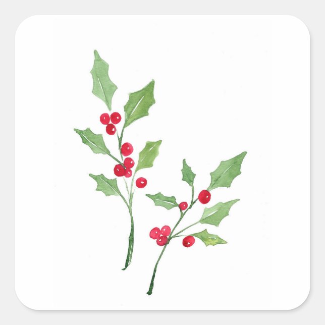 Sticker Carré Aquarelle Holly Sprigs (Devant)