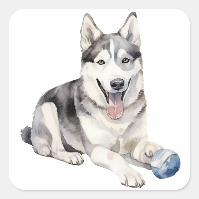 Sticker Carré Aquarelle Husky Chien (Devant)