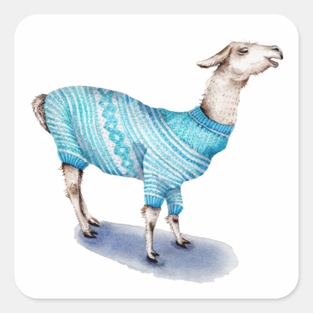 Sticker Carré Aquarelle Llama en bleu Sweat (Devant)