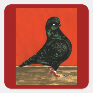 Sticker Carré Aquarelle noire de Pigeon