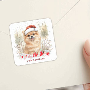 Sticker Carré Aquarelle Pomeranian à Santa Hat Joyeux Noël