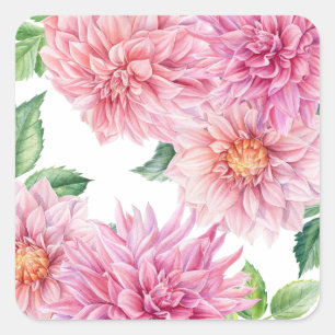 Sticker Carré Aquarelle rose pâle Dahlia motif floral