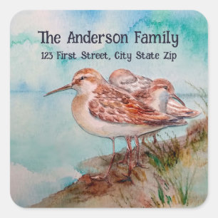 Sticker Carré Aquarelle Sandpiper Eau Oiseau Nature Art