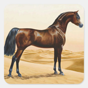 Sticker Carré Arabian Horse - William Barraud