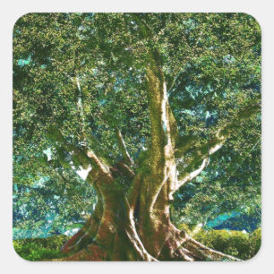 Sticker Carré Arbre vert de vie