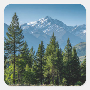 Sticker Carré Arbres Conifères avec Arrière-plan Montagneux