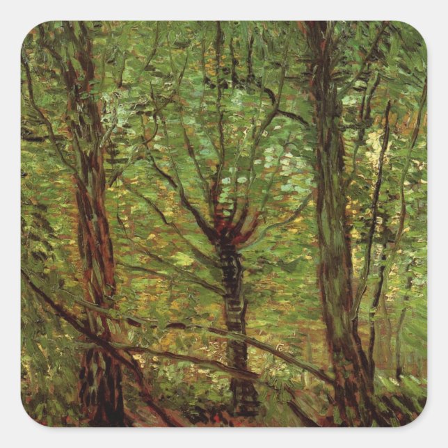 Sticker Carré Arbres et sous-bois par Vincent van Gogh (Devant)