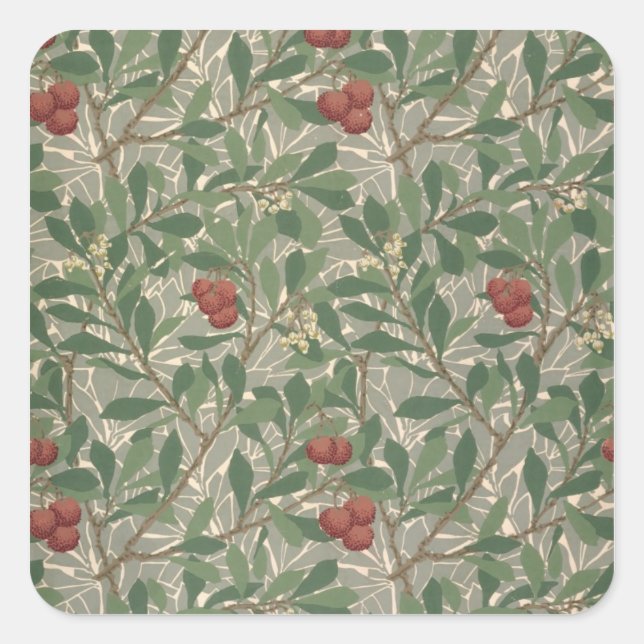 Sticker Carré 'Arbutus' wallpaper designed par Kathleen Kersey f (Devant)