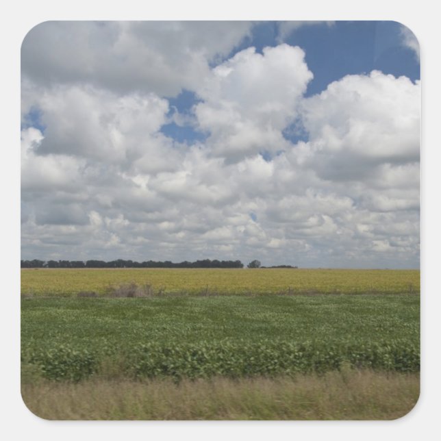 Sticker Carré Argentine, Buenos Aires, San Antonio de Areco. (Devant)