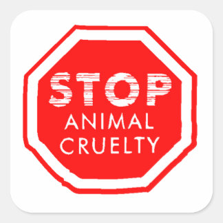 Sticker Carré Arrêter la cruauté envers les animaux