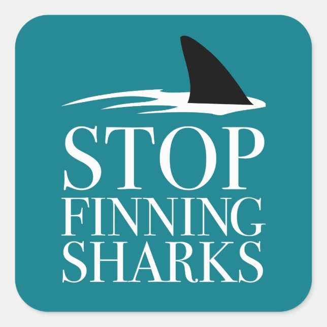 STICKER CARRÉ ARRÊTER LA RECHERCHE DES REQUINS (Devant)