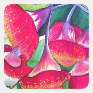 Sticker Carré Art fleurissant rouge australien d'aquarelle de