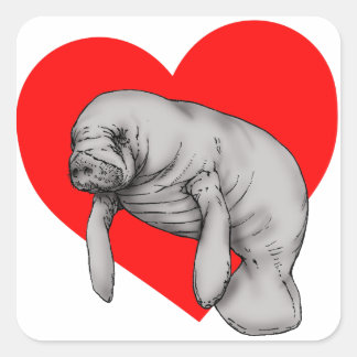 Sticker Carré art manatee