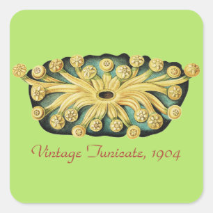 Sticker Carré Art nautique soleil levant jaune d'Ernst Haeckel