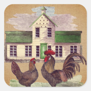 Sticker Carré Art populaire Farmyard Poulets Conception rustique