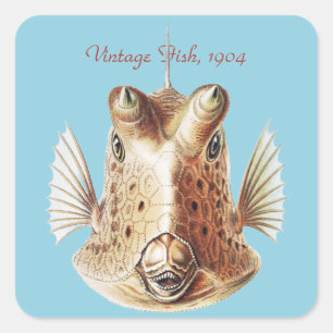 Sticker Carré Art vintage de la vache marine dorée d'Ernst Haeck