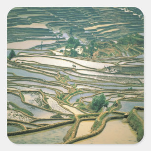 Sticker Carré Asie, Chine. Rizières inondées près de Nano