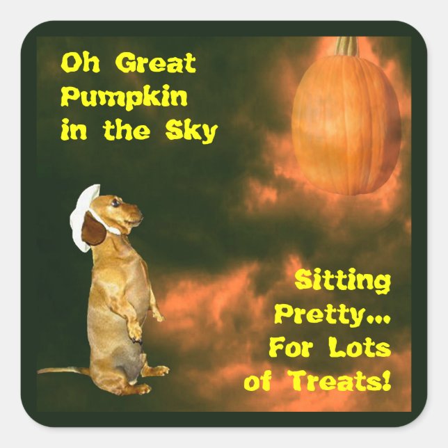 Sticker Carré Assis Joli pour beaucoup de soins (Devant)