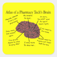 Atlas du cerveau d'un technicien en pharmacie