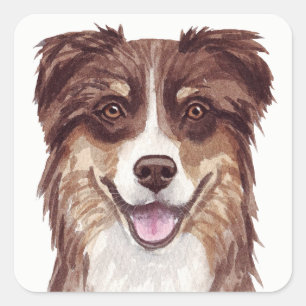 Sticker Carré Aussie Chien Chien Chien Chien Assiette Australian