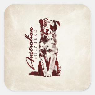Sticker Carré Australien australien de berger
