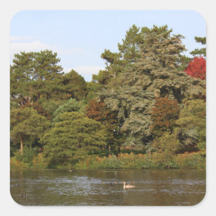 Sticker Carré Automne, Lac Roath Park, Cardiff