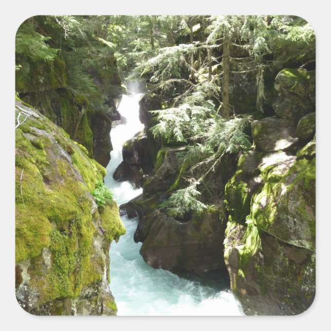 Sticker Carré Avalanche Gorge II at Glacier National Park (Devant)