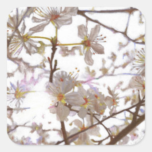 Sticker Carré Avant 2014