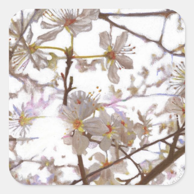 Sticker Carré Avant 2014 (Devant)