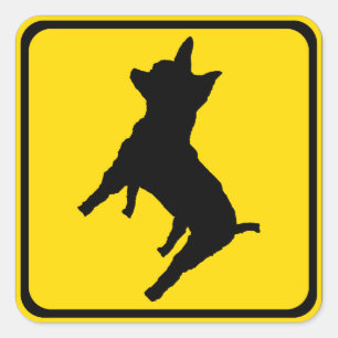 Sticker Carré Avertissement - Chihuahua devant !