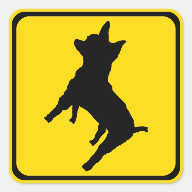 Sticker Carré Avertissement - Chihuahua devant ! (Devant)