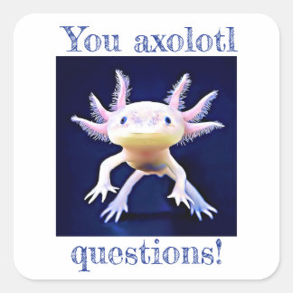 Sticker Carré Axolotl Salamander Amphibian