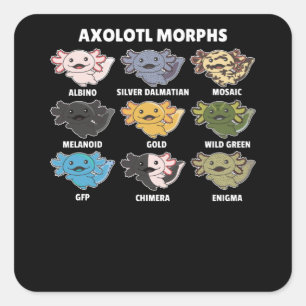 Sticker Carré Axolotls Du Monde Sweet Animaux Axolotl