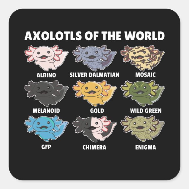 Sticker Carré Axolotls Du Monde Sweet Animaux Axolotl Squa (Devant)
