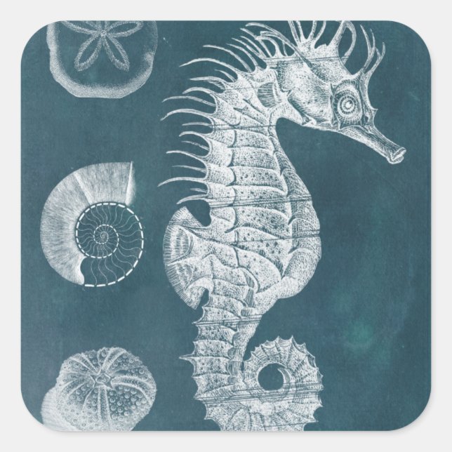 Sticker Carré Azure Seahorse Study I (Devant)