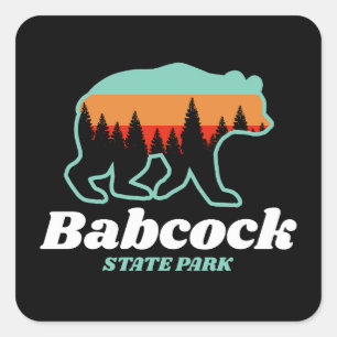 Sticker Carré Babcock State Park West Virginia Bear Retro