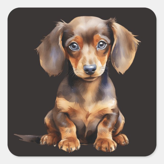 Sticker Carré Baby Dachshund (Devant)