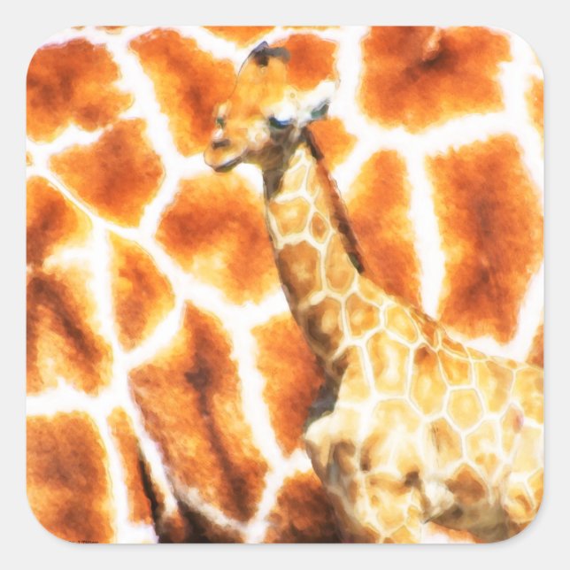 Sticker Carré Baby Giraffe (Devant)