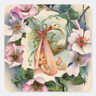 STICKER CARRÉ BABY SHOWER DE FILLE DE STORK AVEC ROSES SAUVAGES 