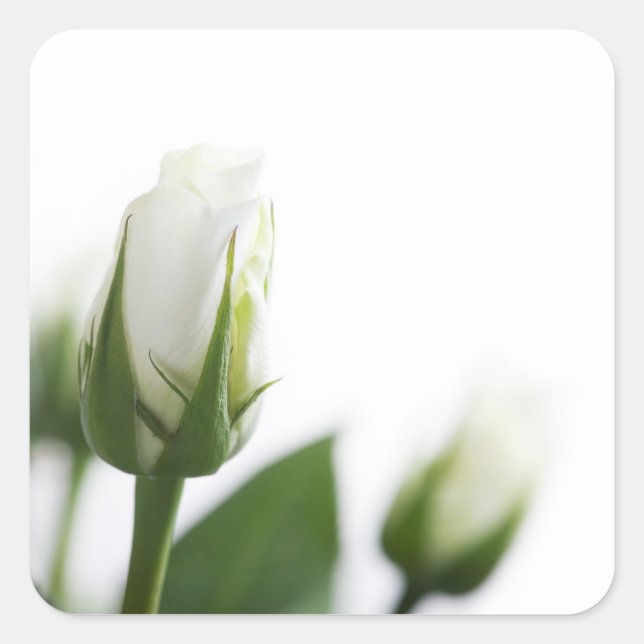 Sticker Carré Baguette blanche (Devant)