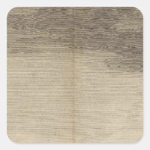 Sticker Carré Baie de possession, la Géorgie du sud