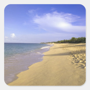 Sticker Carré Baie Longue Long Bay Beach, St. Martin,