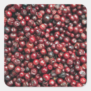 Sticker Carré Baies rouges de l'Himalaya