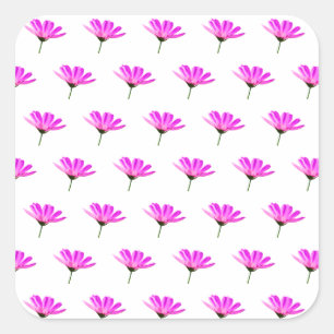 Sticker Carré Baise rose