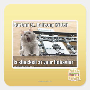 Sticker Carré Balcon Kitteh de St de Burbon