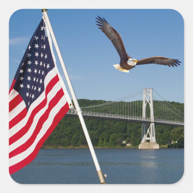 Sticker Carré Bald Eagle (American Pride) (Devant)
