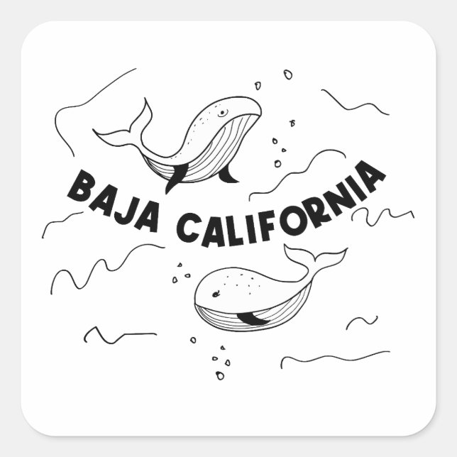Sticker Carré Baleines de Basse-Californie (Devant)