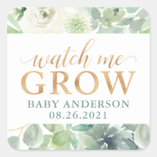 Sticker Carré Balise de Baby shower Succulent Regarder ma vue de